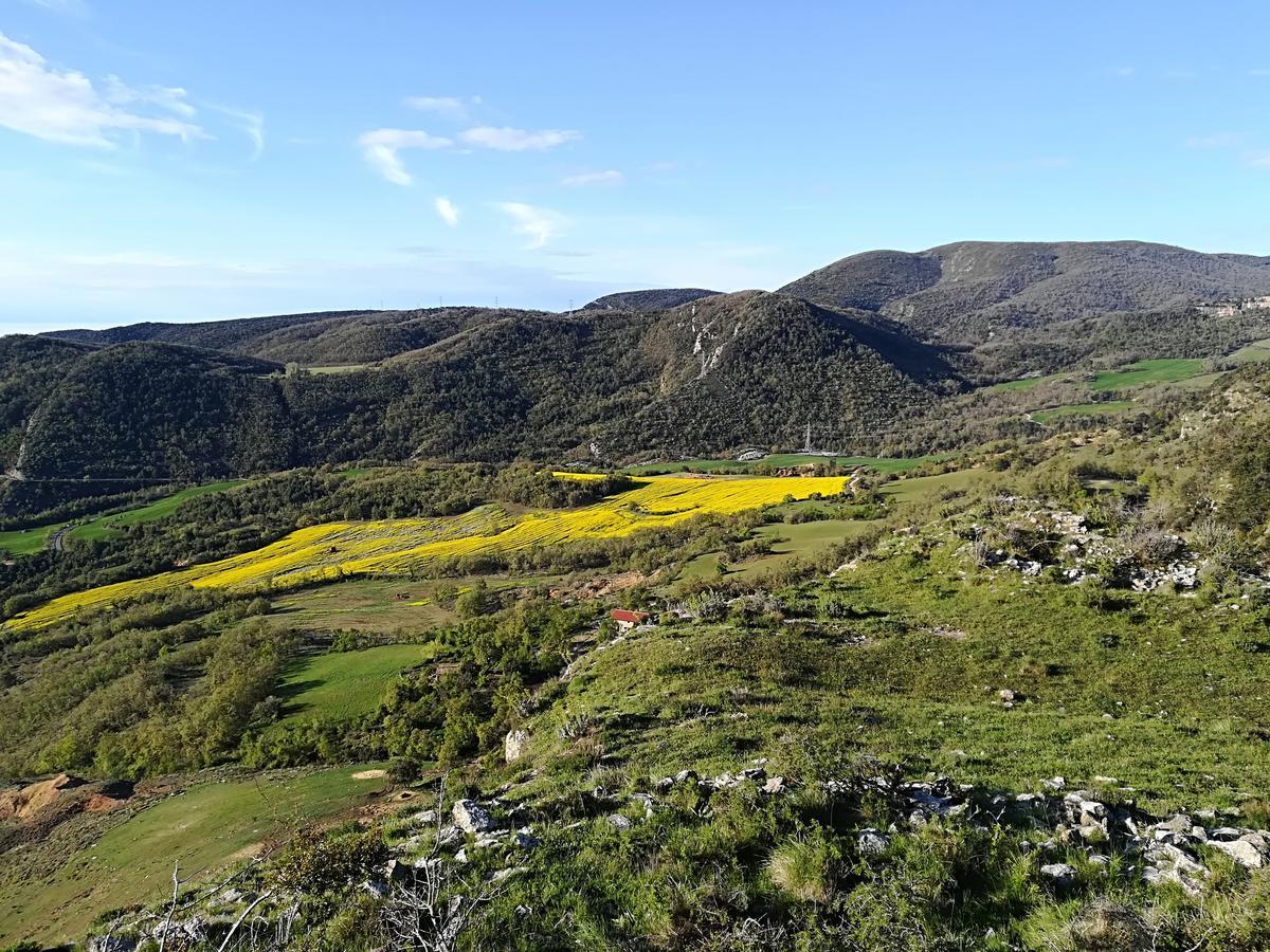 Lo Cel De Tolo旅馆 外观 照片