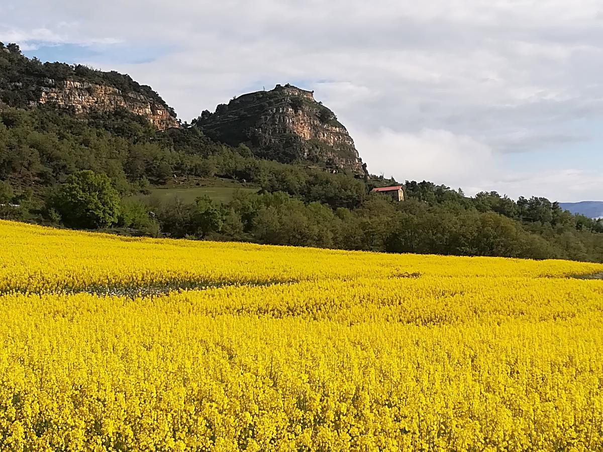 Lo Cel De Tolo旅馆 外观 照片